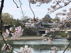 岡山城の画像
