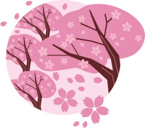 桜イラスト