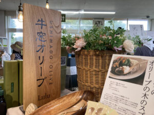 牛窓オリーブ
